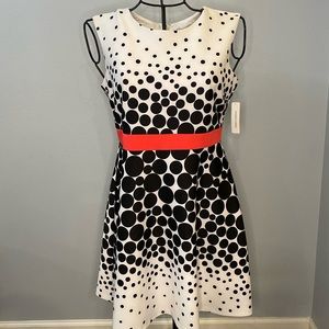 NWT Sandra Darren brand sleeveless polka dot dress